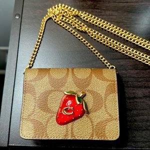 Coach -Card Holder on a Chain